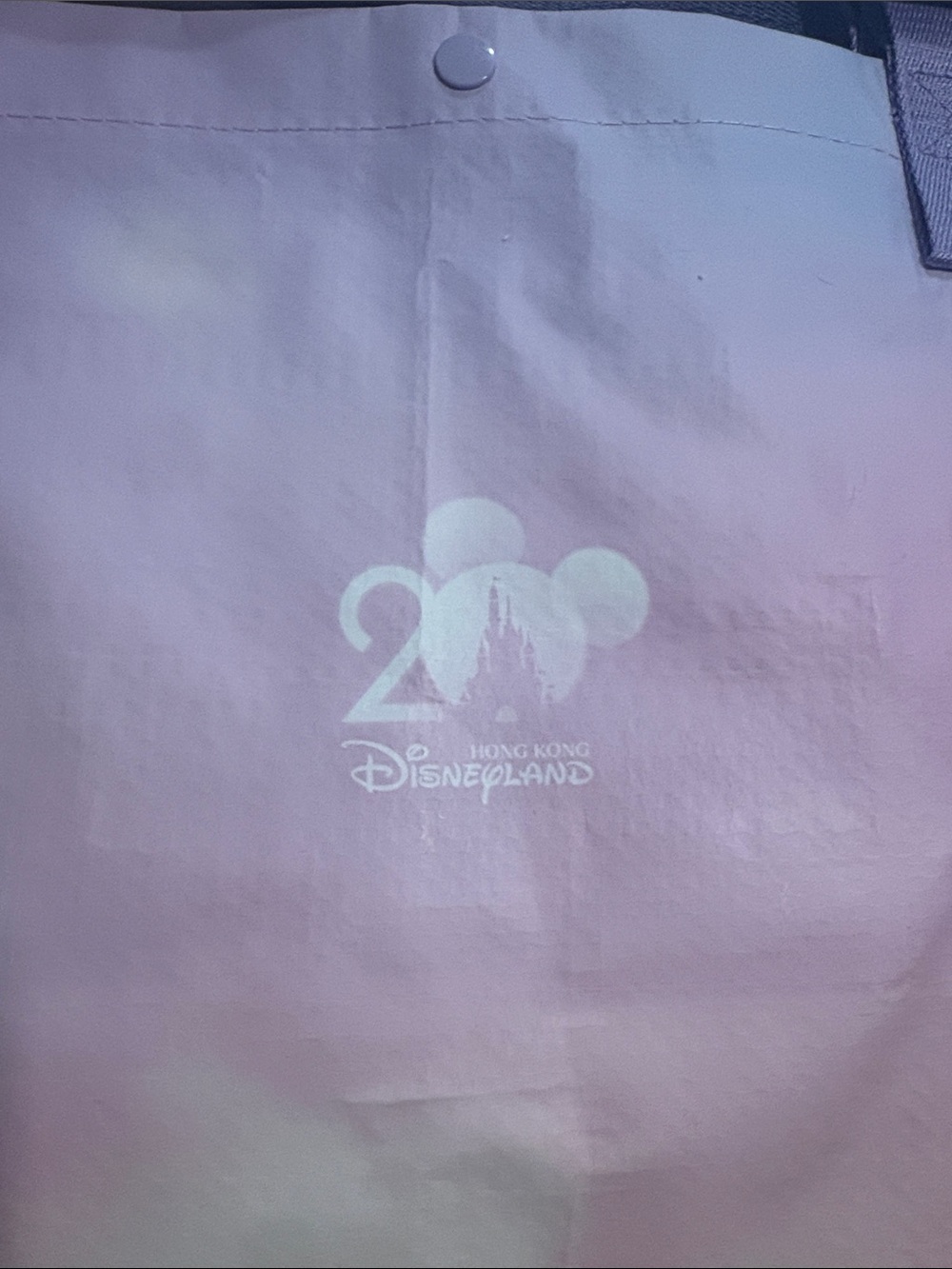 Disneyland Hong Kong Exclusive 20th An Duffy & Friends Reusable Shopping Bag-NEW - Picture 3 of 8